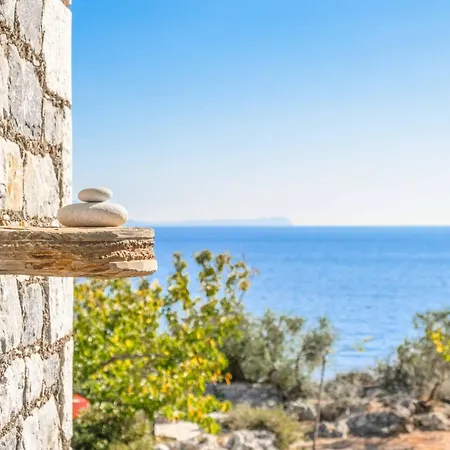 Mulberry Στούπα